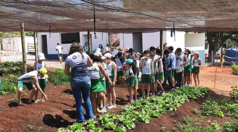 Cerca de 1.200 pessoas participam de  ações ambientais na RHI Magnesita