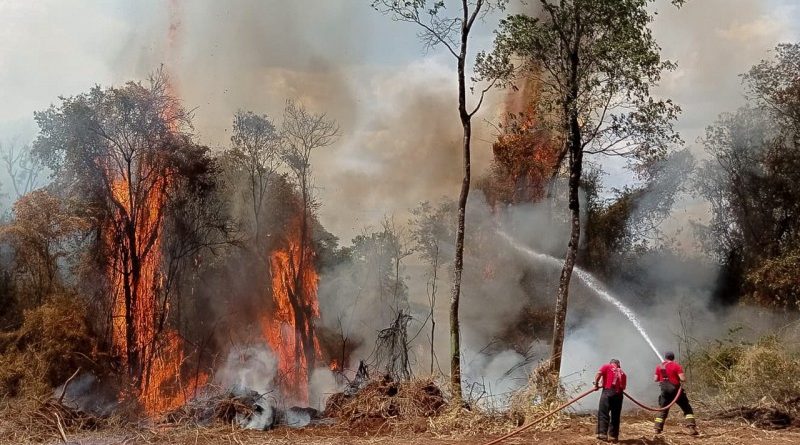 Propostas para reduzir impactos da crise climática serão premiadas pela ALMG