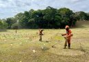 Ipatinga está finalizando os preparativos dos cemitérios para o Dia de Finados