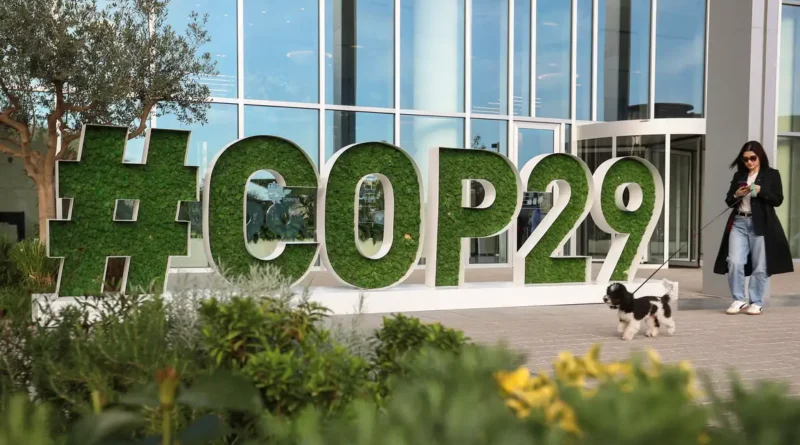 Ambientalistas dizem que acordo da COP29 é insuficiente