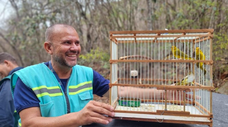 RHI Magnesita celebra a libertação de 47 pássaros na Serra das Éguas