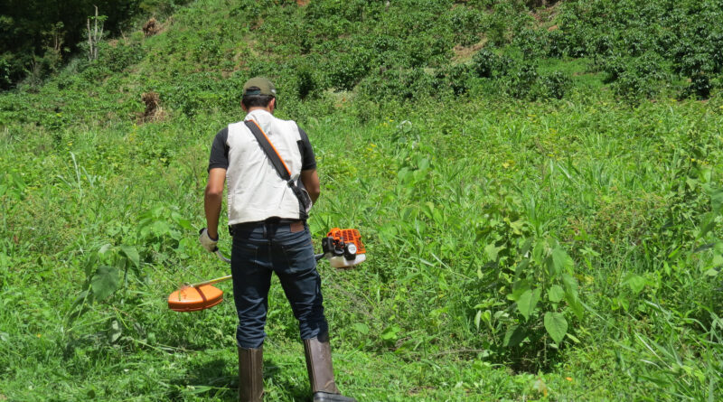 Sistema Faemg Senar oferece capacitações gratuitas nesta semana no Leste de MG